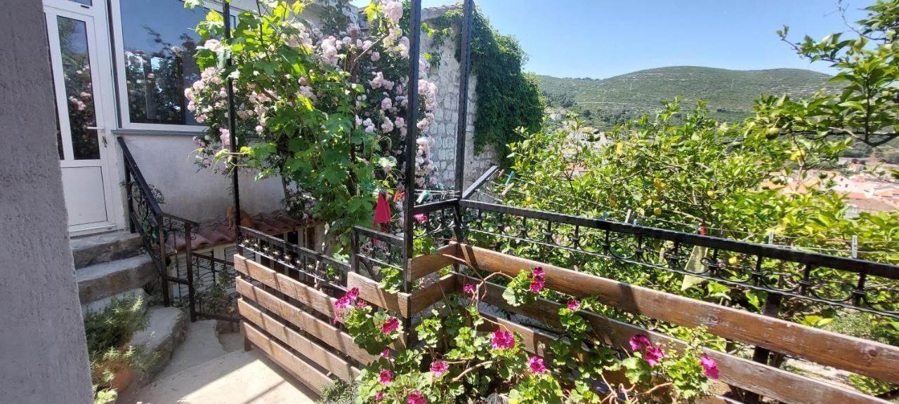 شقة Panoramic View With Jacuzzi فيس المظهر الخارجي الصورة